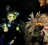 Scuba diving class taking night course Scuba diving class taking night course