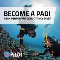 padi-ppb-spec