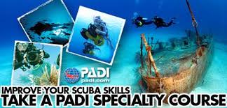 padi-spec