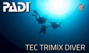 TecRec Logo TecRec Logo