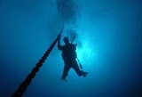 Scuba divers exploring wreck